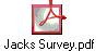 Jacks Survey.pdf
