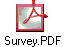 Survey.PDF